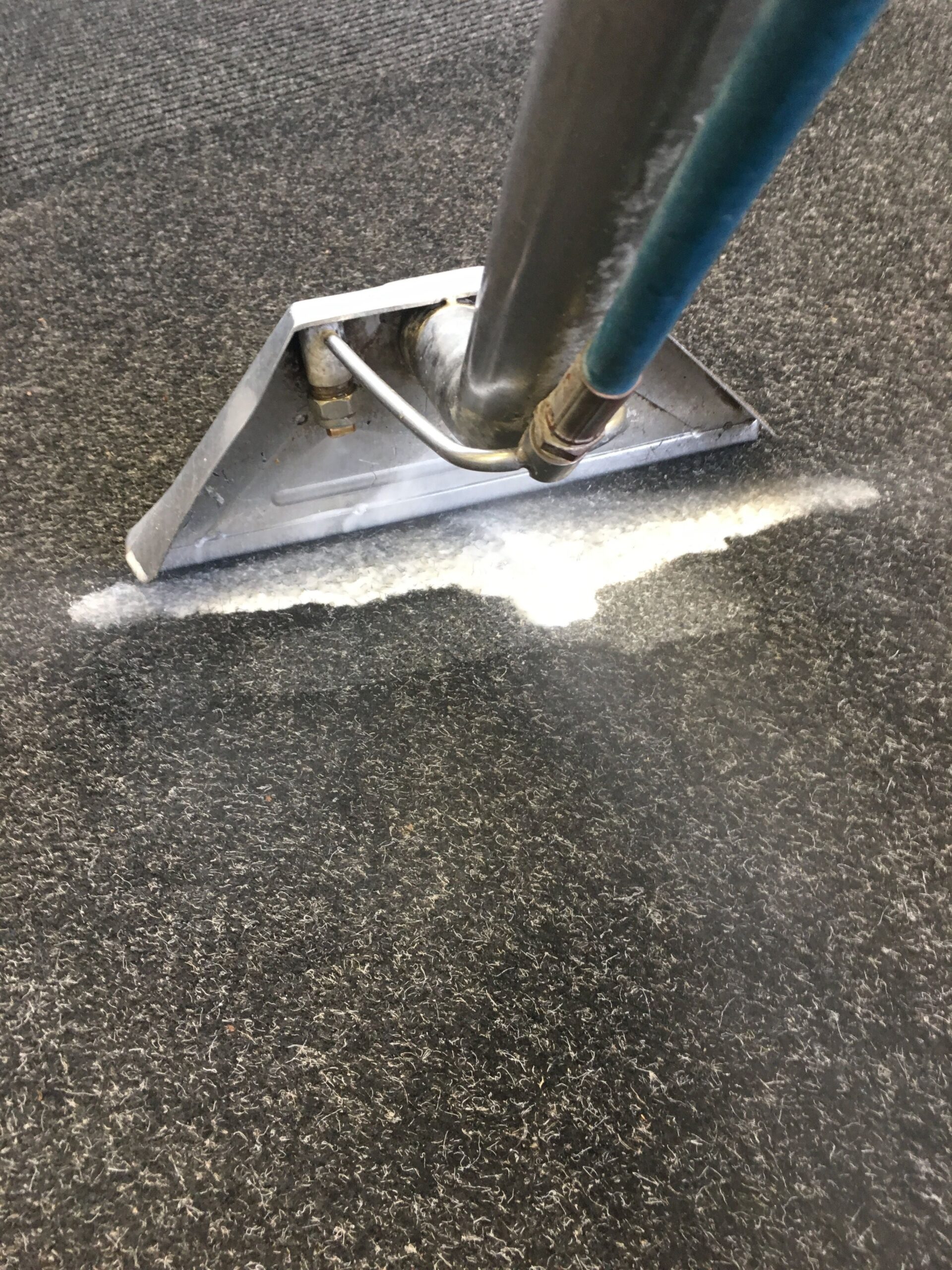 Fresh and clean carpet after steam cleaning