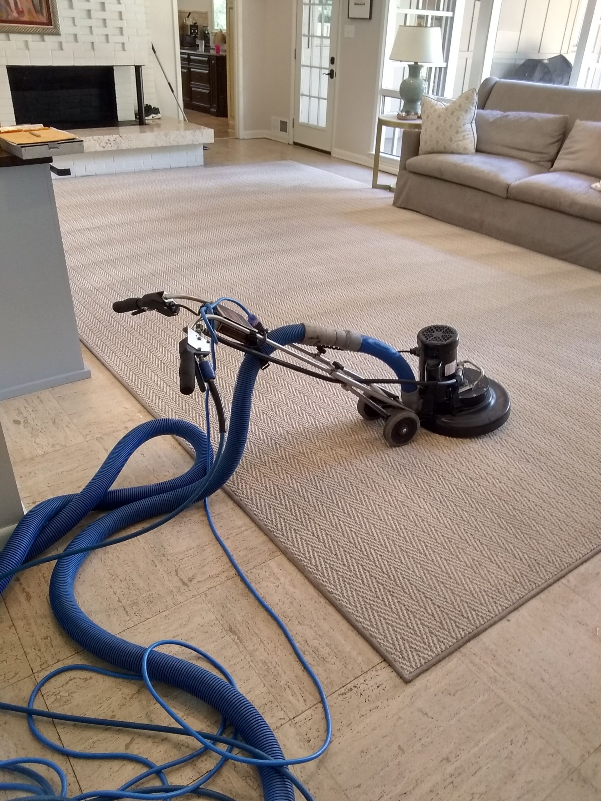 Professional carpet steam cleaning service